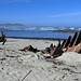 Nolloth