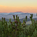 auch der ferne Tafelberg liegt in der Morgensonne