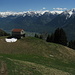 panorama dall'Alpe Merla 1)