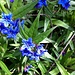 ... und solche in blau