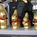 über Ostern im Spital ...<br />(Danke, [u Juergen] für das Foto!