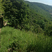 Abstieg entlang von Trockenmauern nach Kamp-Bornhofen