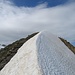 Der "Appenzeller Biancograt" gibt so langsam den Weg frei - [http://www.hikr.org/gallery/photo1361217.html?post_id=76798#1 Winterfoto]