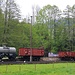 Steinbach, Güterzug mit aufgeschemelten Normalspurwagen