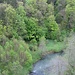 Blick hinunter zur Wiesent
