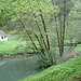 An der Wiesent.