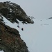 Aufsteigende und Absteigende am Piz Bernina - Rechts oben der felsige Schlussgrat