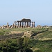 die Akropolis von Selinunte