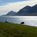 Idylle pur am Meeresarm Kalsoyarfjorður auf der Insel Kunoy