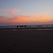 Kamelreiten im Sonnenuntergang