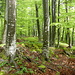 .. Stöckliberg-Plateau.<br />Der Steinmann ist ganz hinten