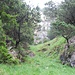 steiles (Foto täuscht) Grascouloir im Abstieg unterhalb von P1681