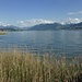 Looking back on our hike from Rapperswil.