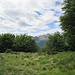 Panorama dal Monte Borgna