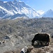 Our very humble objective and Lhotse...