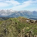 Gipfelpanorama: der Alpstein im Hintergrund