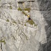 La grimpeuse en jaune et dans Trabant, le grimpeur en bas à gauche est dans la très belle Sterntäler, un must!.