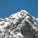 faccio una foto al Monte Disgrazia...e casualmente c'é una persona in cima!<br />Sulla sinistra il bivacco Rauzi.