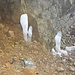 Lustige Eisformationen am Höhlenboden.