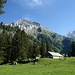 Alp Laui mit Blick auf das Klettergebiet