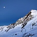 Aletschhorn al chiar di Luna