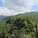 La boscosa cresta dei Sassi Palazzi.