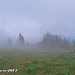 Aus Süden heraufziehende Nebelfelder stauen am Kamm