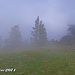 Aus Süden heraufziehende Nebelfelder stauen am Kamm