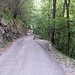 Rückkehr in die Magadino-Ebene über die Fahrstrasse, die von Cugnasco (228 m) bis zum Monti di Motti (1062 m) führt.