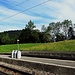 Ziegenmilch wartet bei der Station Chräbel auf den Transport zur Alpkäserei Chäserenholz