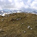 Der weitläufige Gipfel vom Veliki Maglić / Crnogorski Maglić (2388m). Er ist die höchste Erhebung des Maglić und steht in Montenegro.