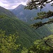 Das Tal der Perućica steht unter strengem Schutz da es von Primärwald bewachsen ist. Das Tal im Nacionalni park Sutjeska darf zudem nur mit einem Führer betreten werden. Über dem Taleingang steht der felsige Gipfel Jejavac (1426m).