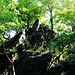 Sedlo, Felsen gezackt