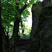 Wanderpfad