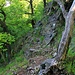 Wanderpfad, kurzzeitig ausgesetzt