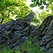 Sedlo, Felsen gezackt