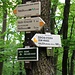 Wegweiser