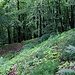 Kalich, Ringwall und Wallgraben der Vorburg