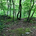 Kalich, Ringwall der Vorburg