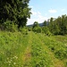 Bahntrasse