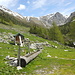 Ein schöner Brunnen auf der Alp Laschadura