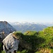 Gipfelfoto Widdersgrind ( 2104m )