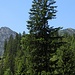 Rotkogel links und Pfaffenkopf rechts