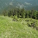 Aufstiegsgelände auf ca.1500m