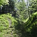auf ca.1130m, man geht links auf der Rippe immer in der Nähe des Grabens rechts