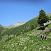 Alpe Valsecco