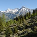 der Wald lichtet sich auf der Räzunscheralpen