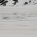 Ober-Surettasee im Zoom