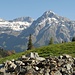 Im Aufstieg Blick auf Wisshorn, Alperschällihorn und Teurihorn