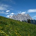Zugspitze, Blumenwiese, Himmel - schöne Kontraste